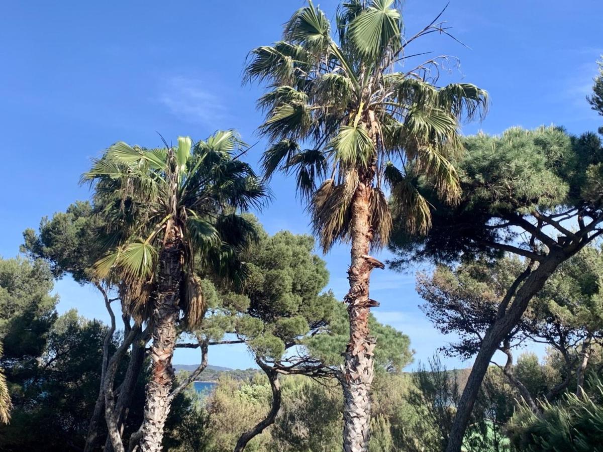 Bergerie Plage Renove Clim Balneo Plage Piscine Jardin Mediterraneen Йер Экстерьер фото